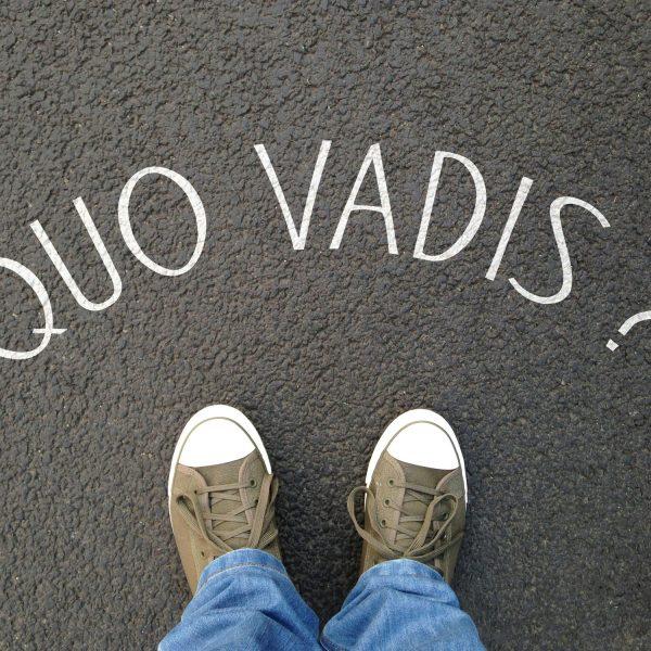 quo vadis is a latin phrase meaning where are you going which is another way of asking what is the meaning of life - how we answer this question will indicate the teleological portion of our world view.